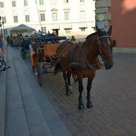 Apartamento Elegant Royal Castle *